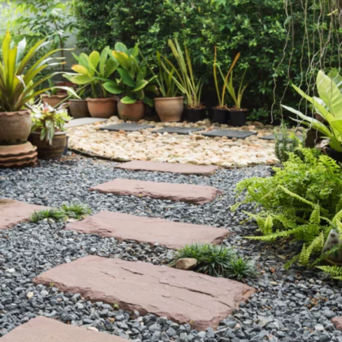 yard with rocks and stone path surounded by tropical plants square